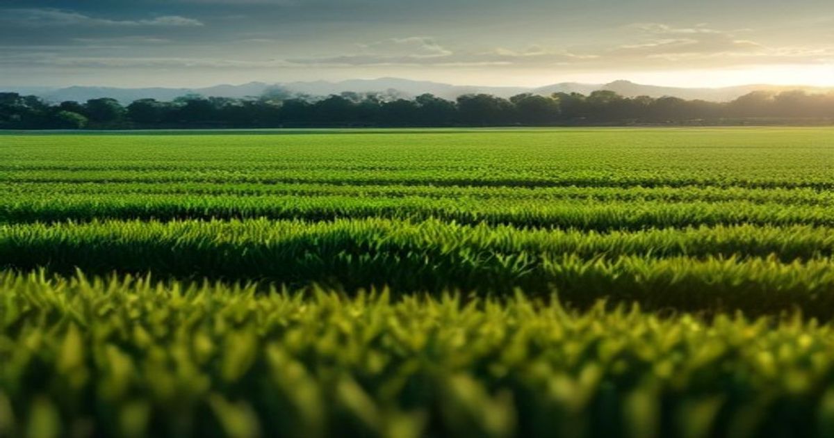 Call for EOIs: Smallholder Agricultural Market Support Program (Haiti) - fundsforNGOs
