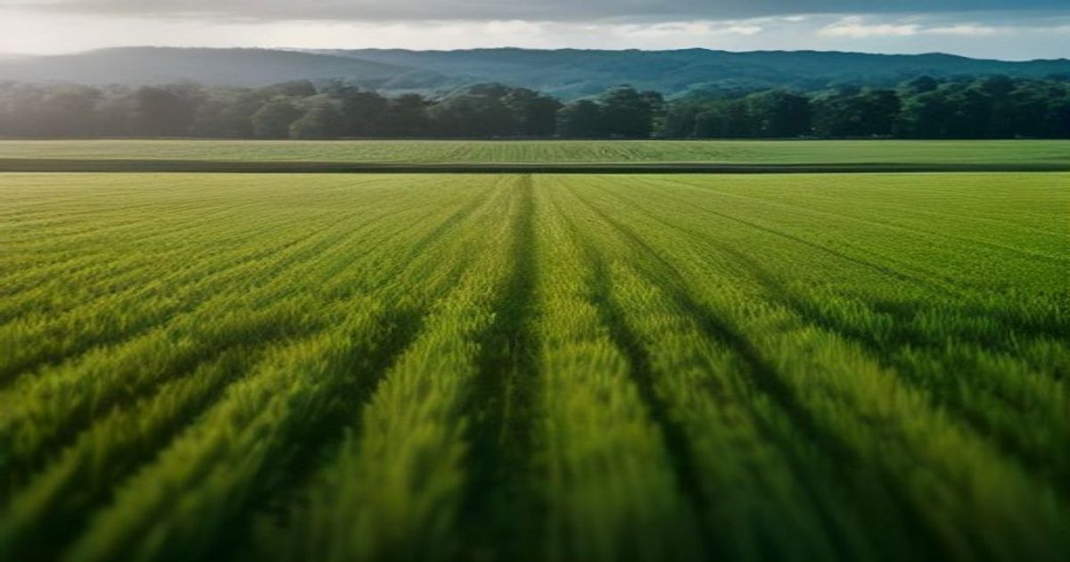 Vertical Farming Companies - iGrow News