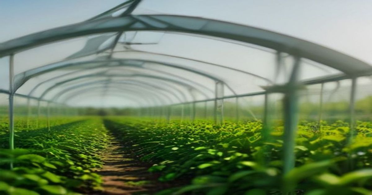ABD-Nijerya Tarim Ticaret Ortakligini Guclendirme