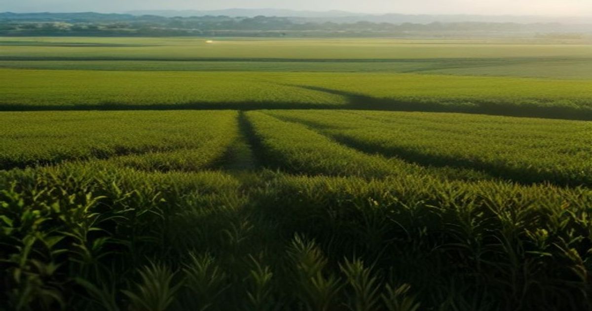 FCMB to Expand Agritech Strategy with AI Advisory in Local Languages - Techeconomy