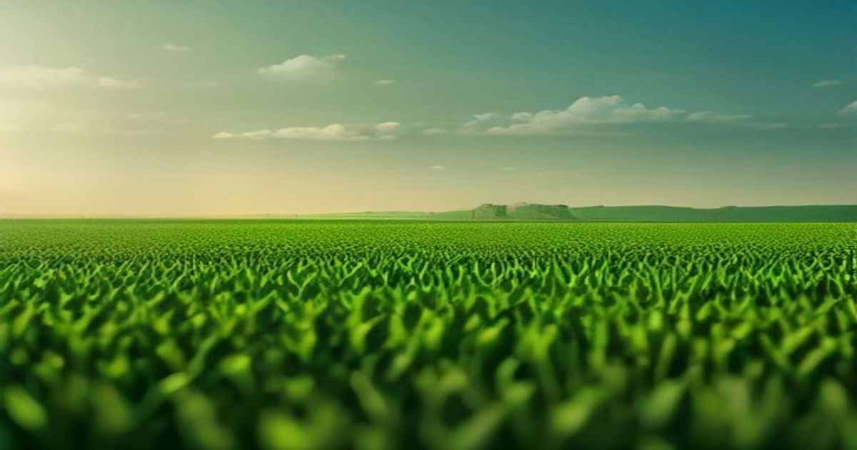 ‘We’re Getting Checks Back': Inside the Farmer-Owned AgTech Fund - AgWeb