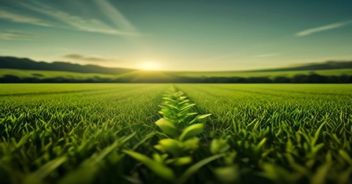 IEEE Spotlights AI and Automation in Agriculture Through New Arkansas-Japan SmartAg Summit - Yahoo Finance