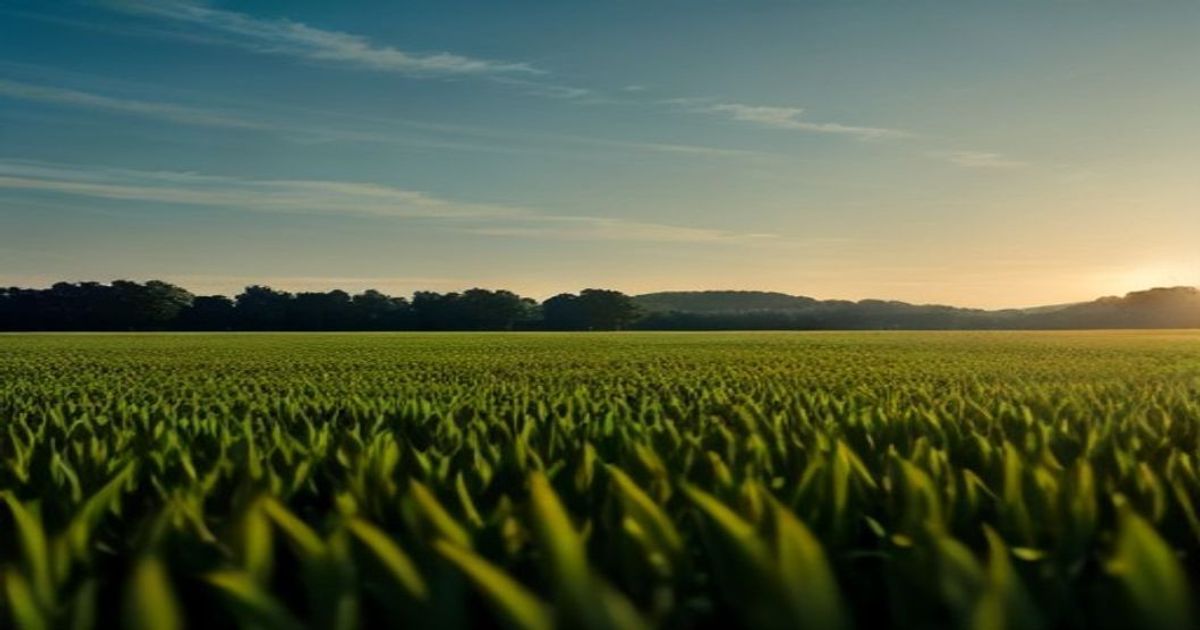Gregg Sauder: Ag Tech Legacy from Precision Planting to 360 - Precision Farming Dealer