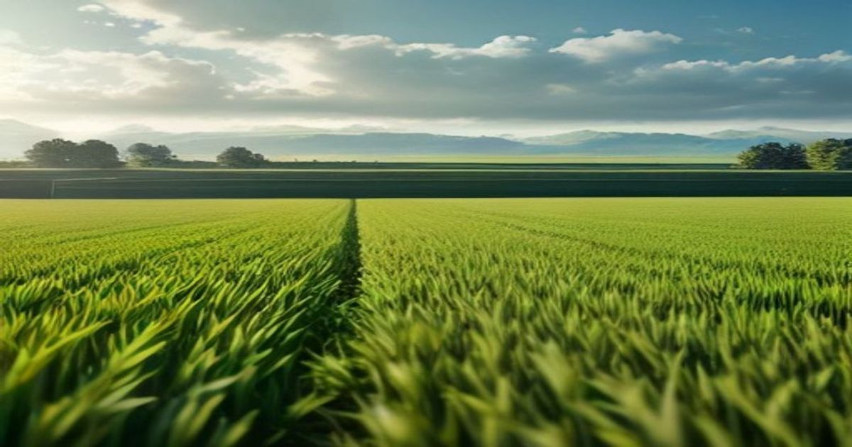 New partnership to provide solar technology to Spanish grower - Hortidaily