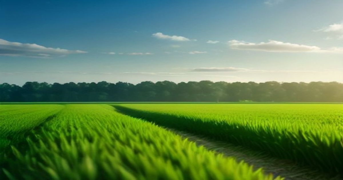 Before We Cleared the Land, We Watched It - Farmers Review Africa