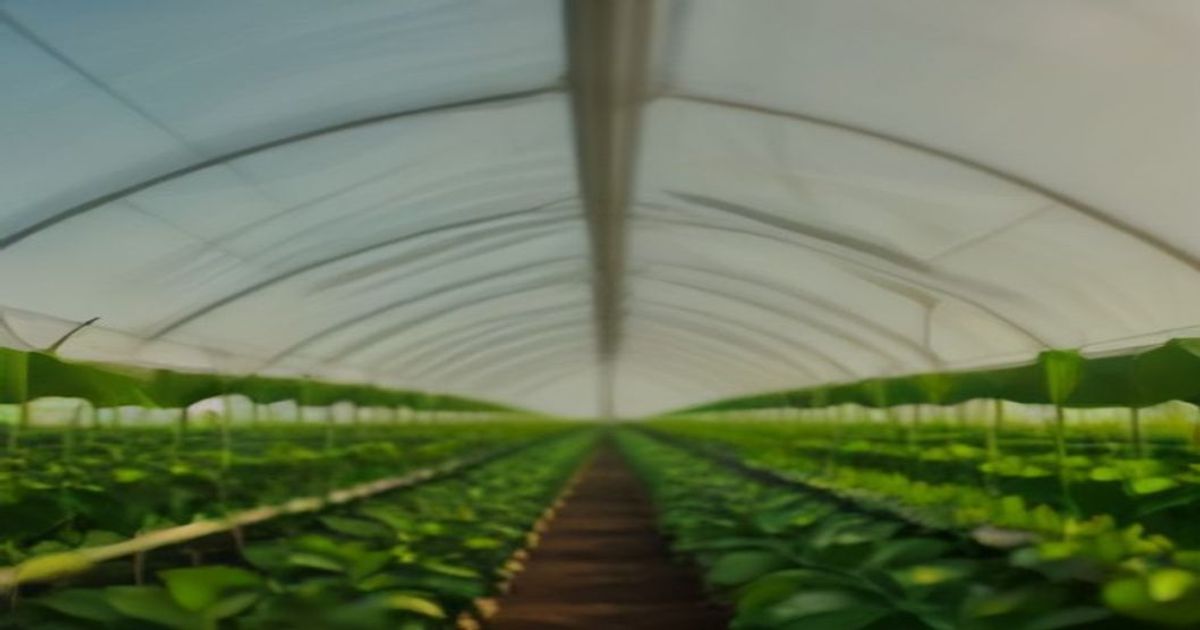 Keystone AgTech Alliance Tarim Teknolojilerini Hizlandiriyor