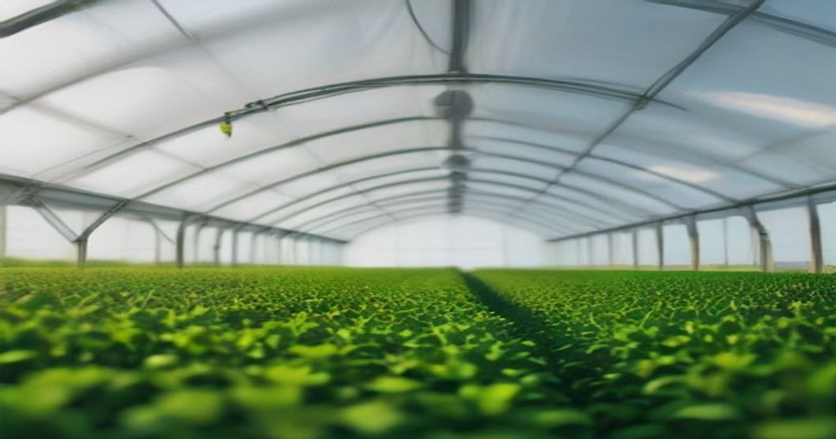 Monsoon Ventures Agritech Startup'lara Yatirim Yapacak