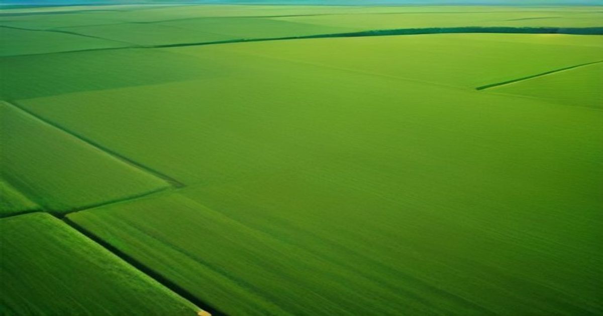 Gunes Evleri Sisleyici Piyasa Analizi