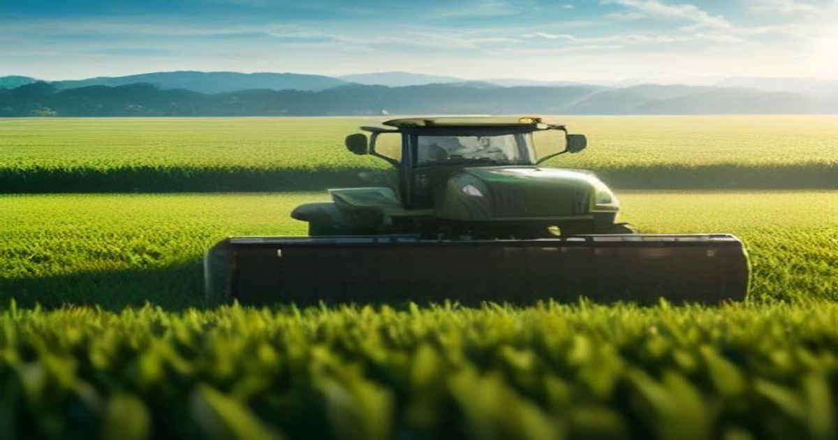 FCMB Deepens Agritech with AI Advisory in Local Languages - THISDAYLIVE