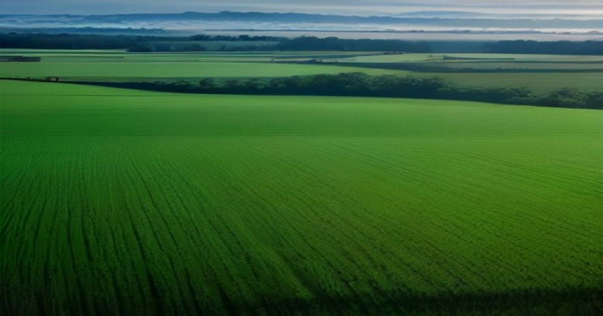 Origin Agritech 8 Ayda Bagimsiz Sistemleri Birlestiriyor