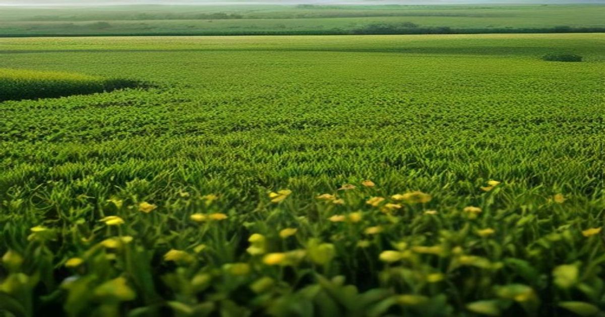 Farm Group To Host Technology Tour - Madison's Country Q106
