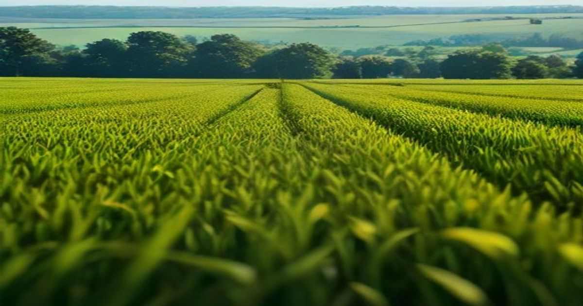 Clearer pathway to $35,000 Agtech grants for farmers - Western Plains App