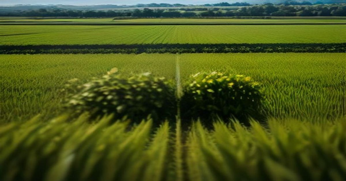 GoodLeaf Farms says all three Canadian vertical farms have reached profitability - retail-insider.com