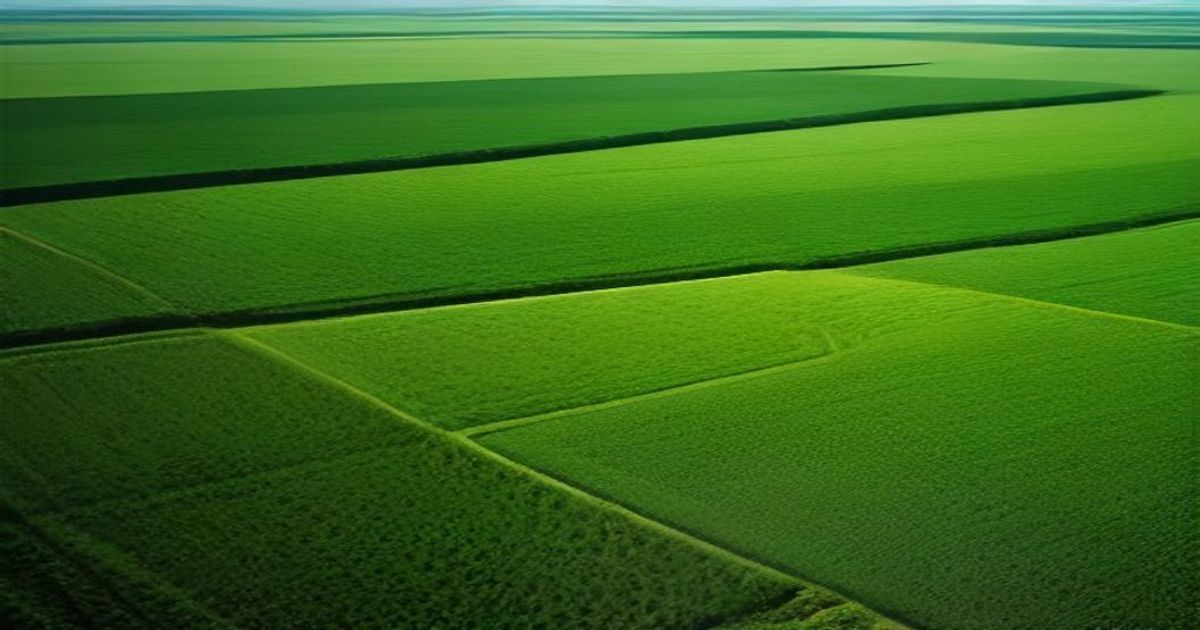 Bayer Crop Science Ar-Ge Çiftliğinde Precision Teknolojisi Sergileniyor