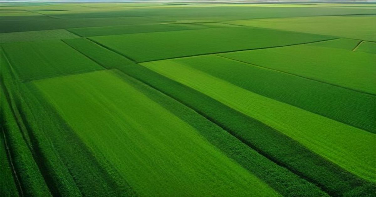 Yavas Salimli Azot Granulleri Piyasasi 2035'e Kadar Hassas Tarim Talebiyle Buyuyor