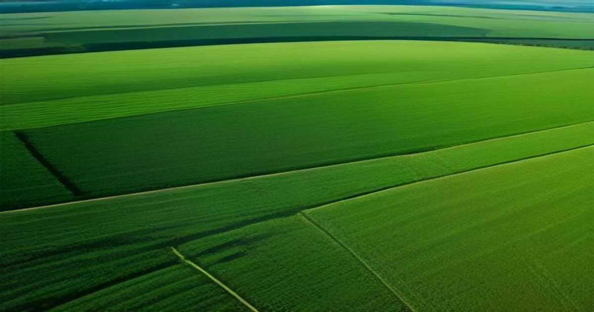 SugarBeet Expo 2026'da Toprak Sagligi