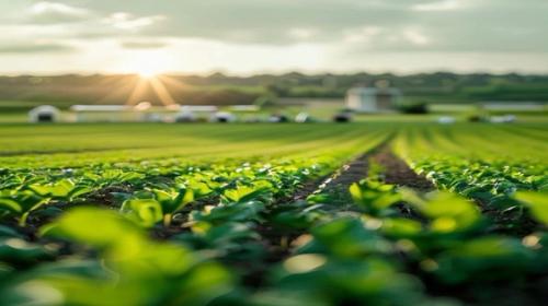 Haziran 2026 Farmtech Bülteni