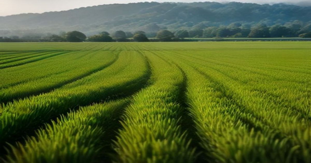 FCMB deepens Agritech with AI Advisory in local languages - Daily Post Nigeria