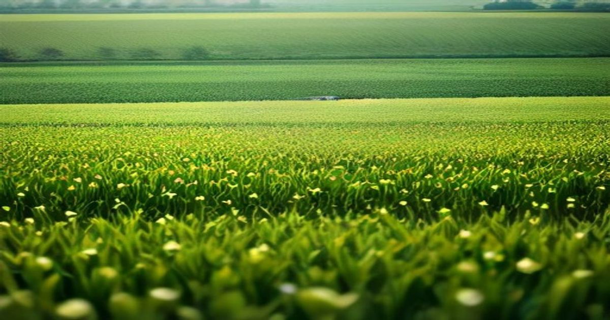 CGI AgVantis Join Forces for Farm Credit Growth - Farms.com