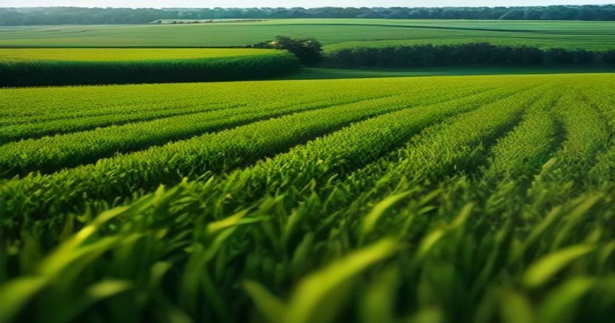 California ag-tech company tests innovative water-retention technology on Illinois farms - 1470 & 100.3 WMBD