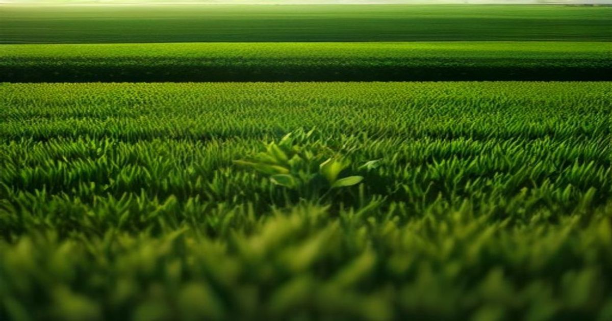 DJI Agriculture: Australia's BVLOS Drone Market Potential and Regulatory Progress - News and Statistics - IndexBox