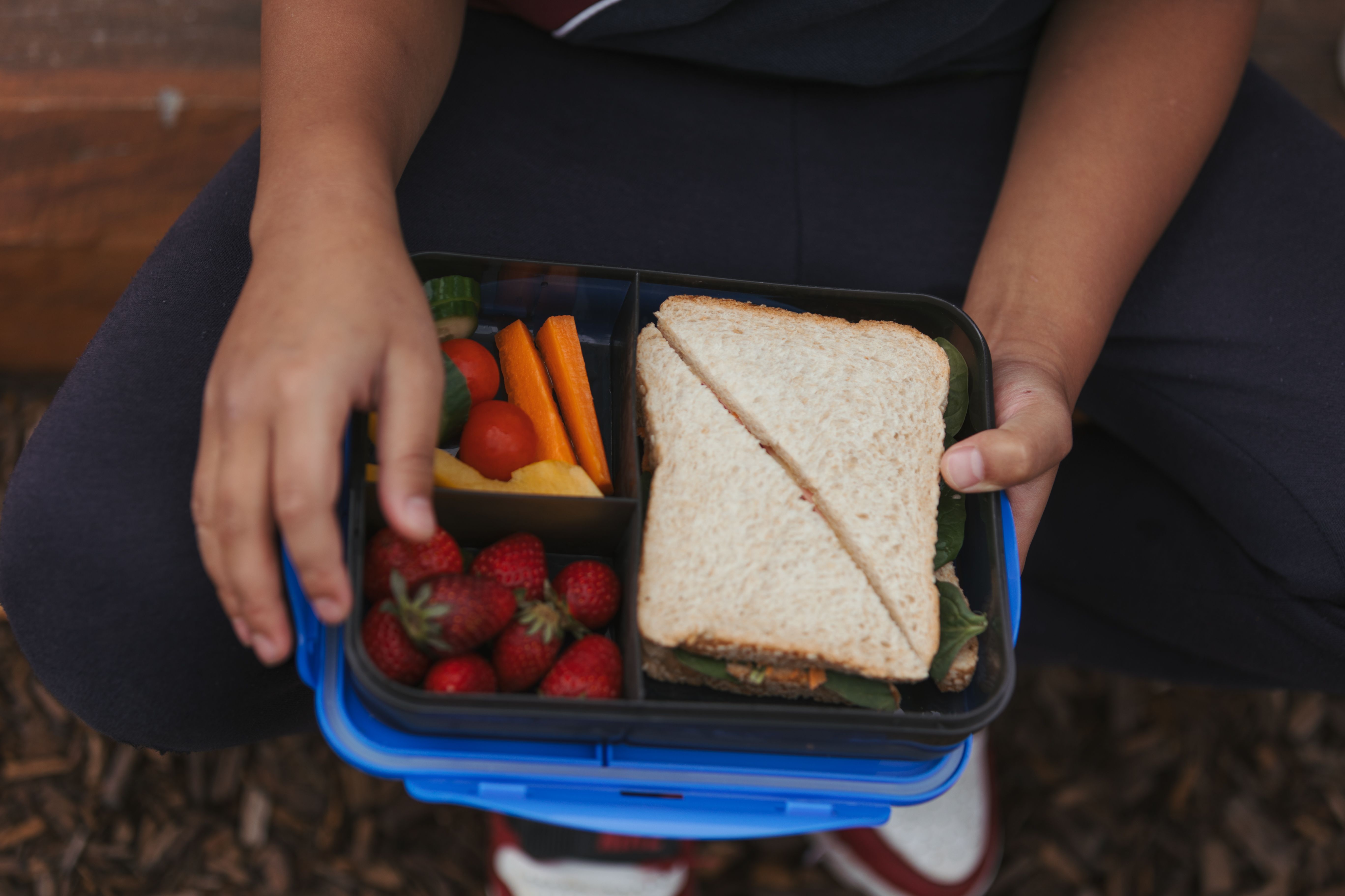 Close up of a child's lunchbox with fresh fruit, vegetables and a sandwhich