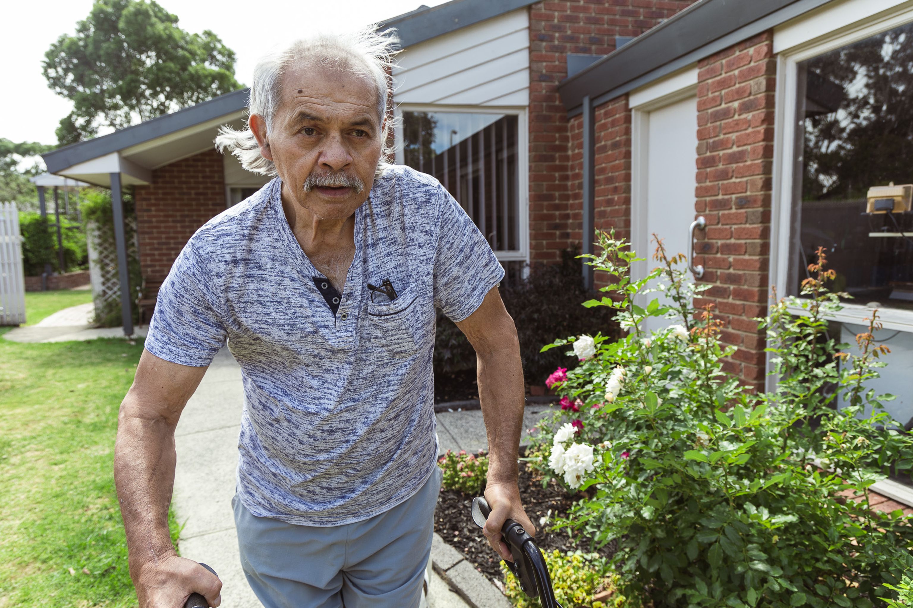 An older man stands using his walker in front of a house with a blooming rose garden.