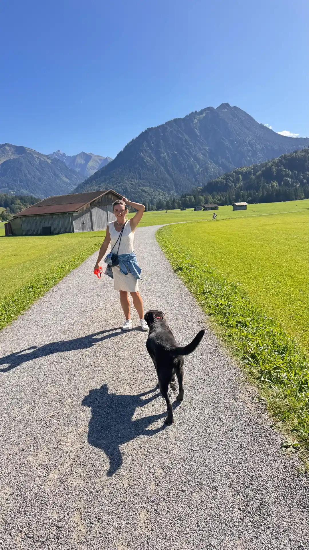 Viehscheid in Oberstdorf – Bild 3