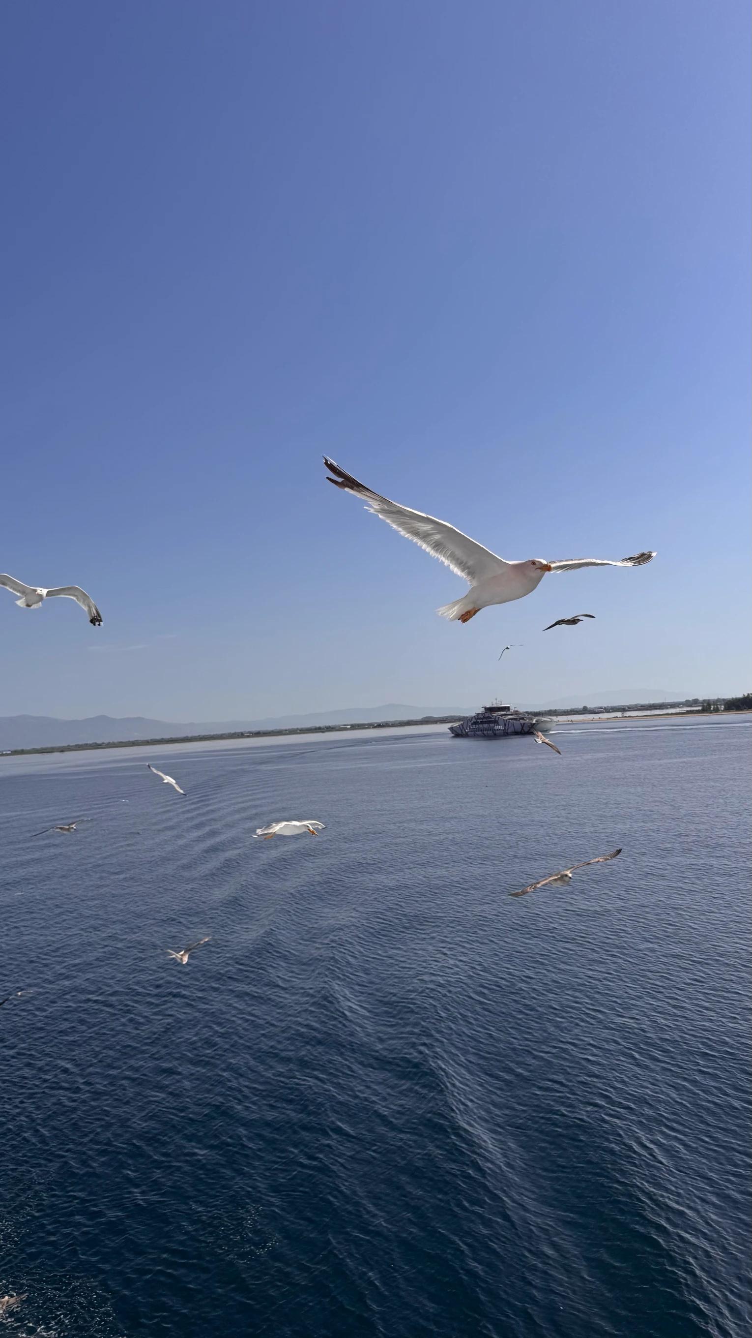 Thassos