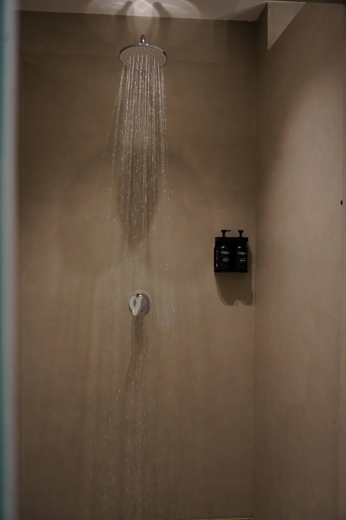 Rain shower with shampoo and shower gel dispensers