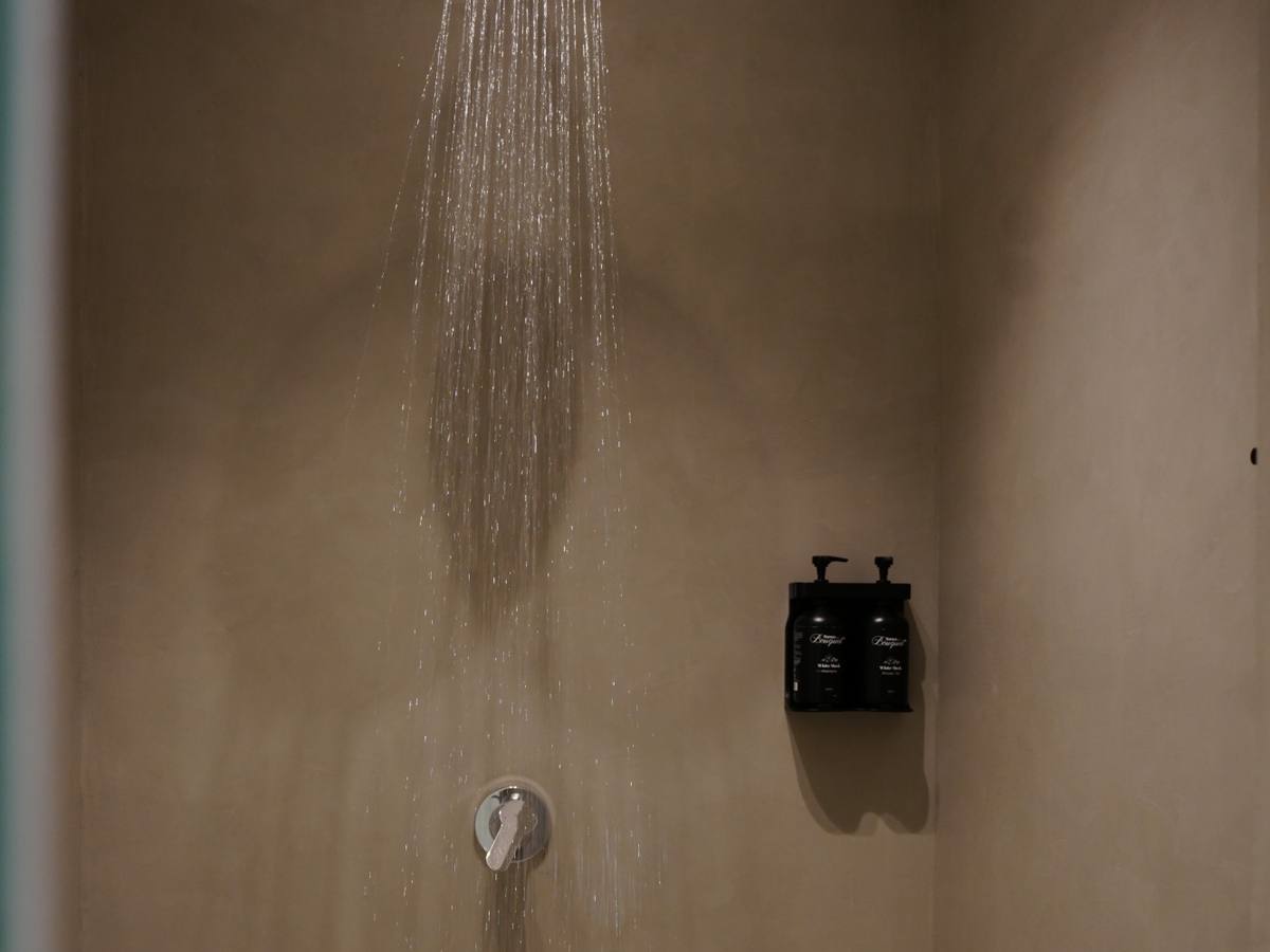 Rain shower with shampoo and shower gel dispensers