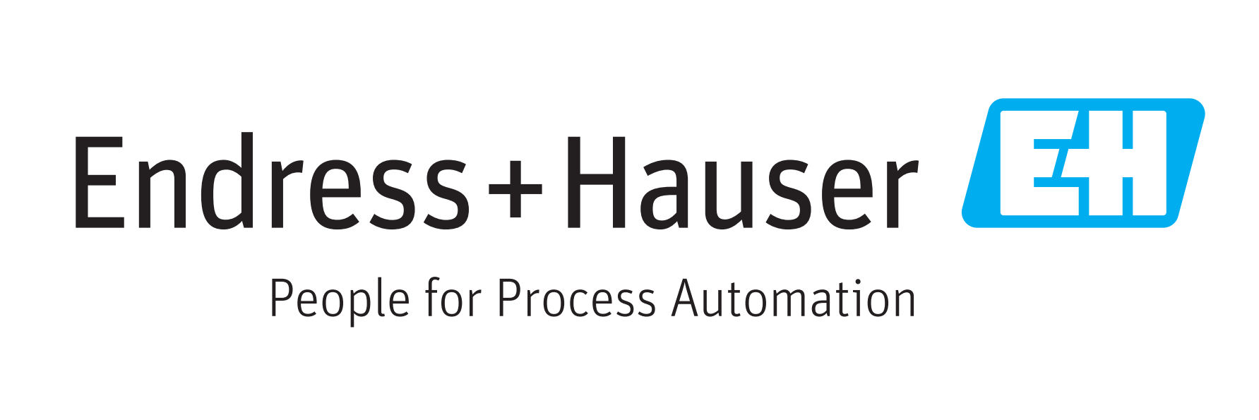 Endress+Hauser