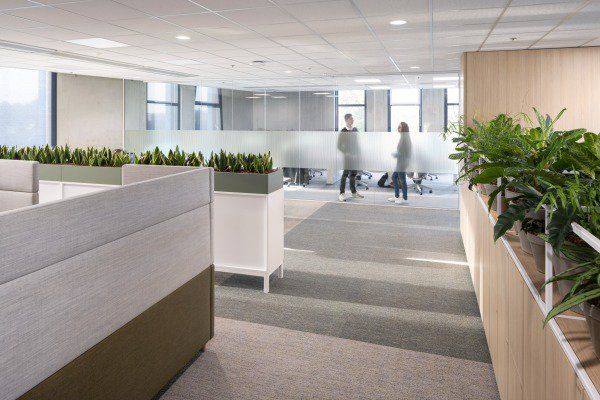 tilleman_20191031-0167 small.jpg