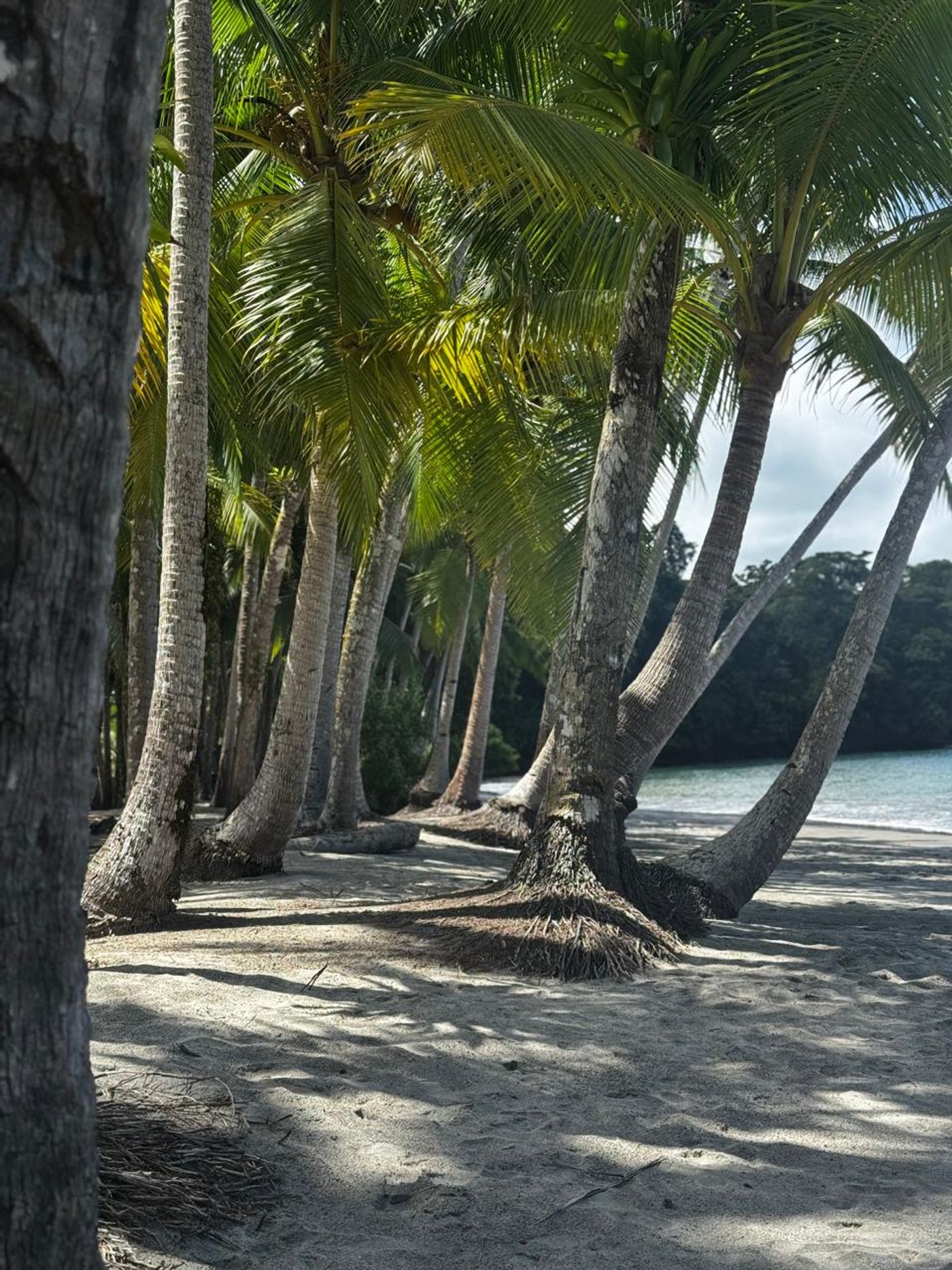 Tropical islands in the Gulf of Chiriquí near Boca Chica, Panama.