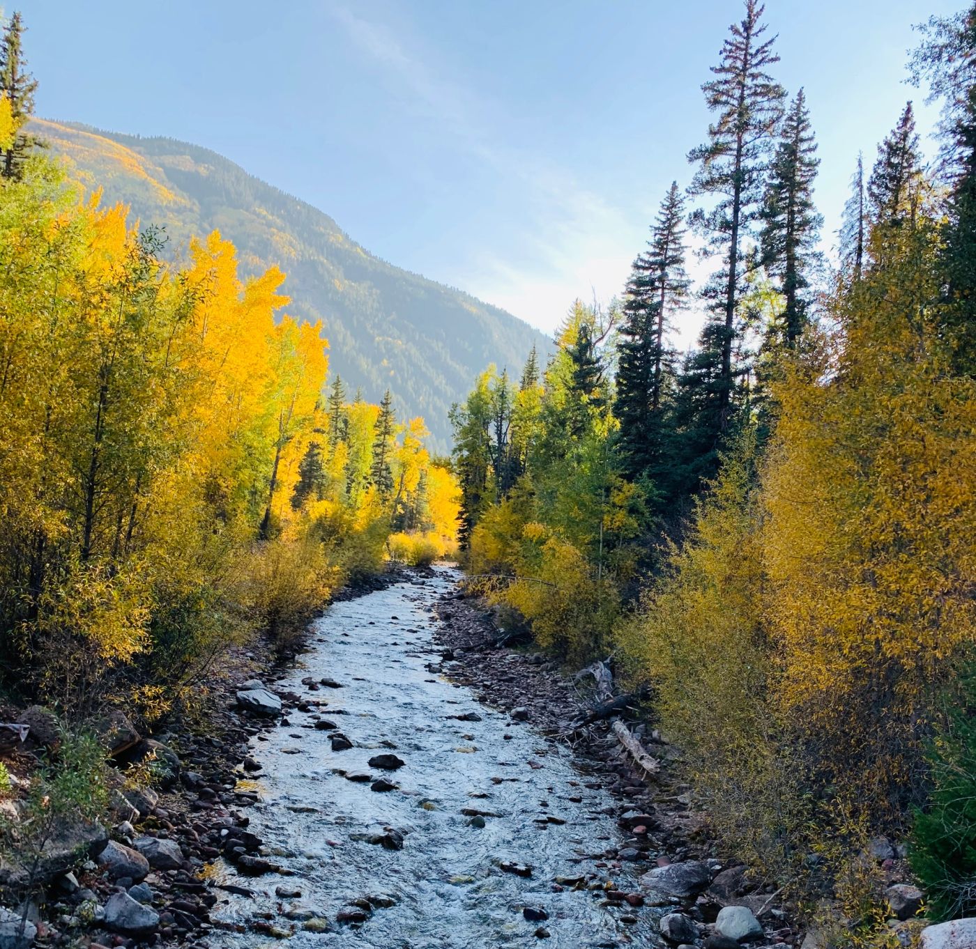 Fall colors along the Roaring Fork Valley near Aspen, Colorado.
