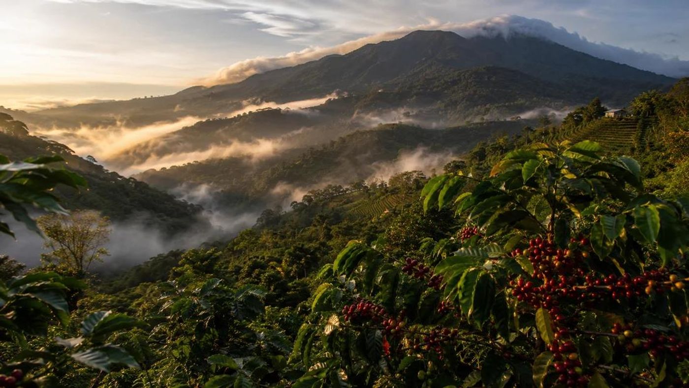 Mountain landscape in the Chiriquí Highlands near Boquete, Panama.