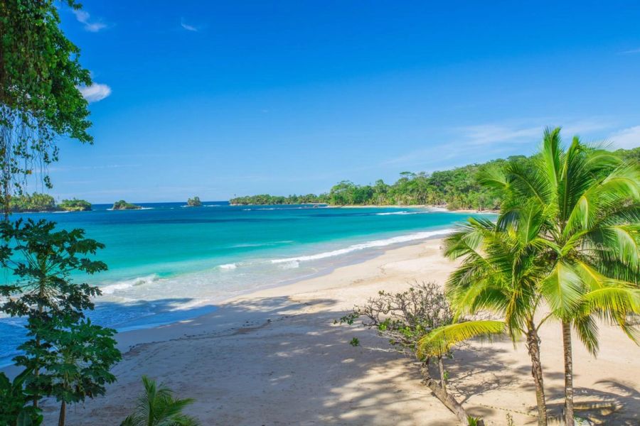 Tropical islands surrounded by clear blue water in Panama, home to diverse Caribbean and Pacific island destinations.