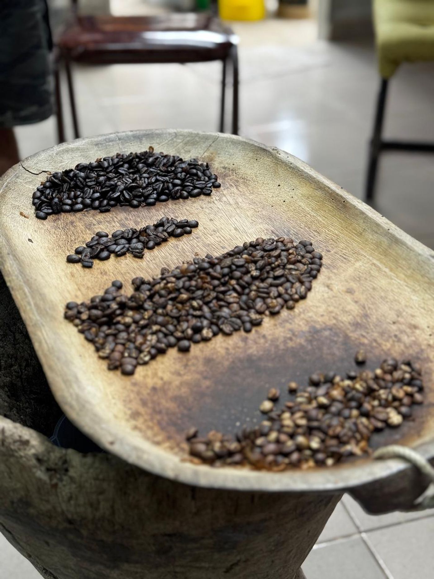 Private coffee experience in the highlands of Panama.