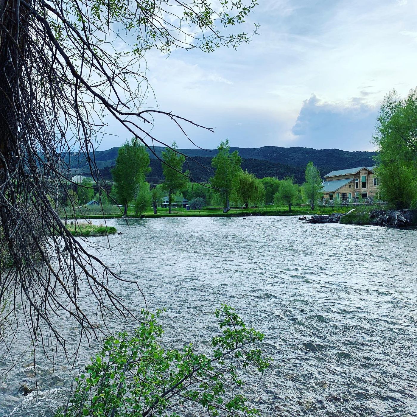 Roaring Fork River flowing through the mountain landscape near Aspen, Colorado.