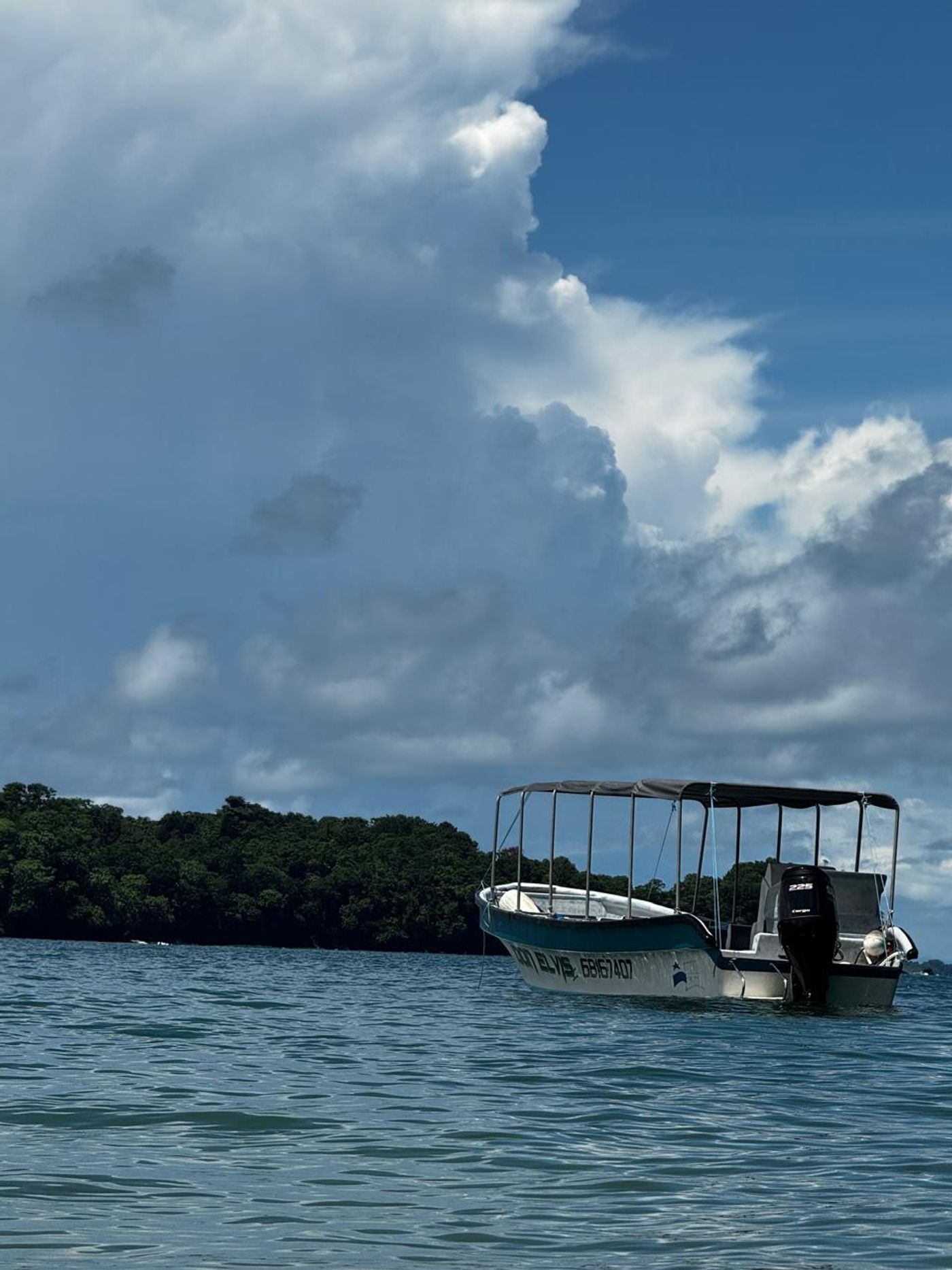 Humpback whale observed during a private marine excursion along Panama’s Pacific coast.
