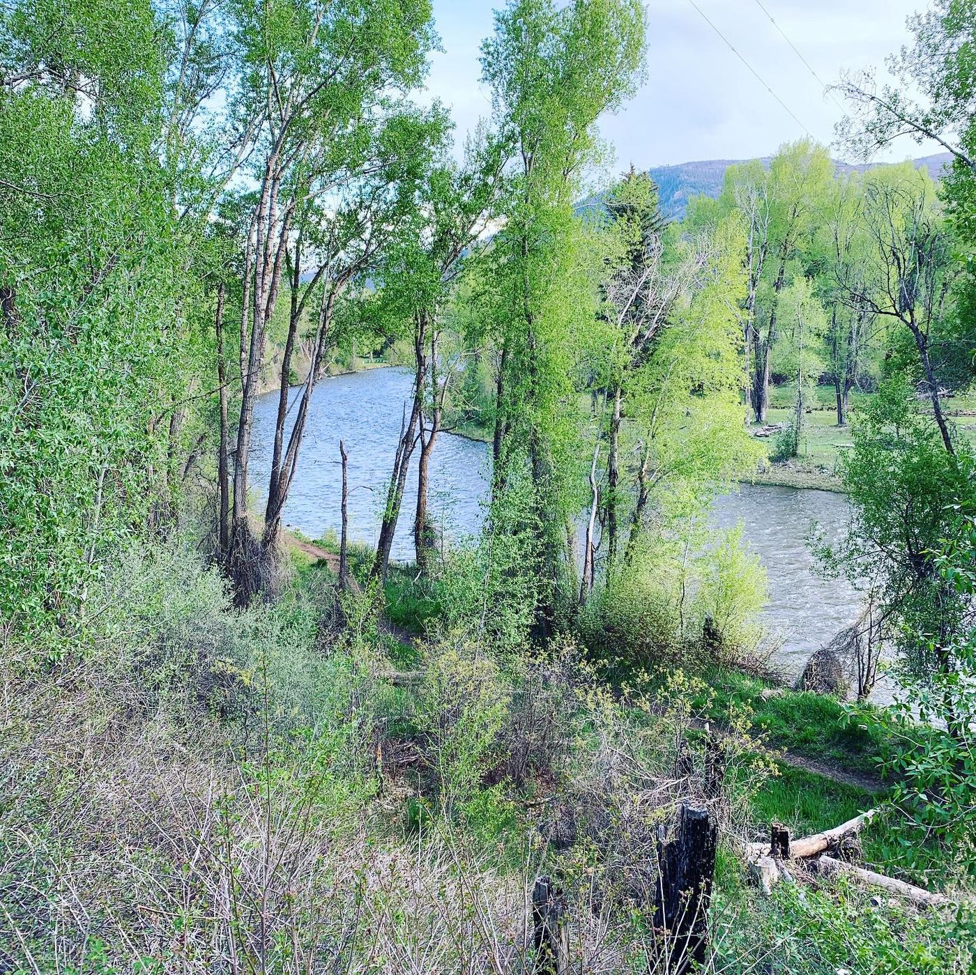 River and mountain scenery in Colorado's Roaring Fork Valley.