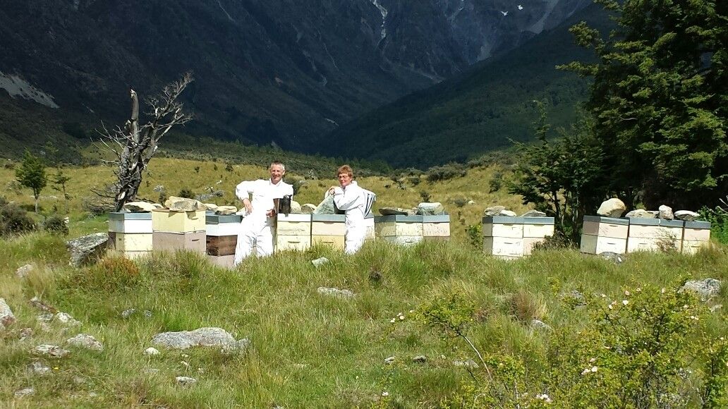 two men are standing in a field with beehives in the background .
