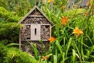 a bug house is sitting in the middle of a garden .