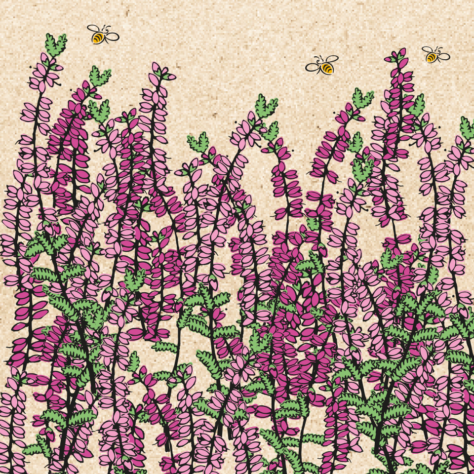 a drawing of flowers with bees flying around them