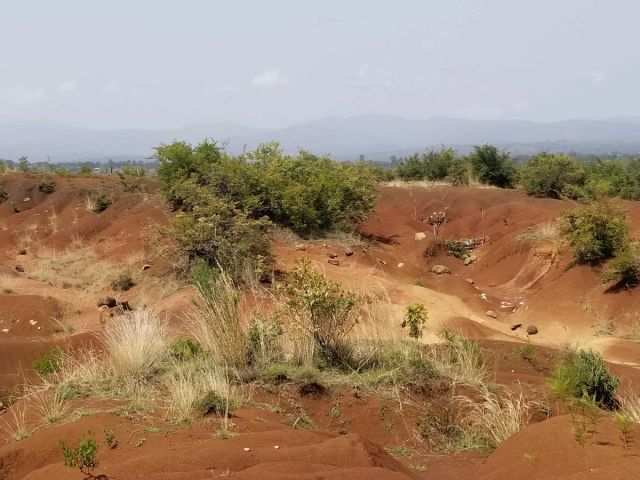 a dirt road going through a desert landscape with mountains in the background .