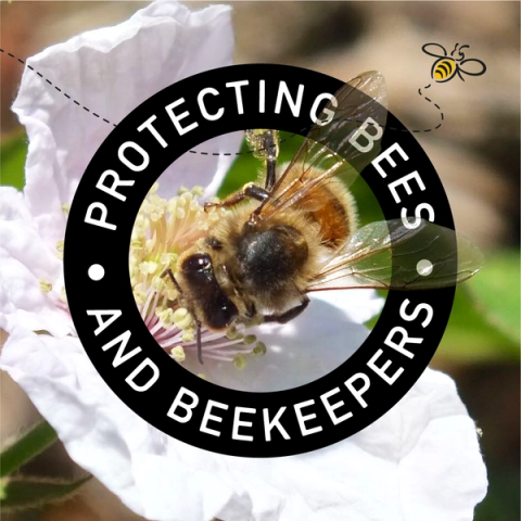 a picture of a bee with the words protecting bees and beekeepers around it