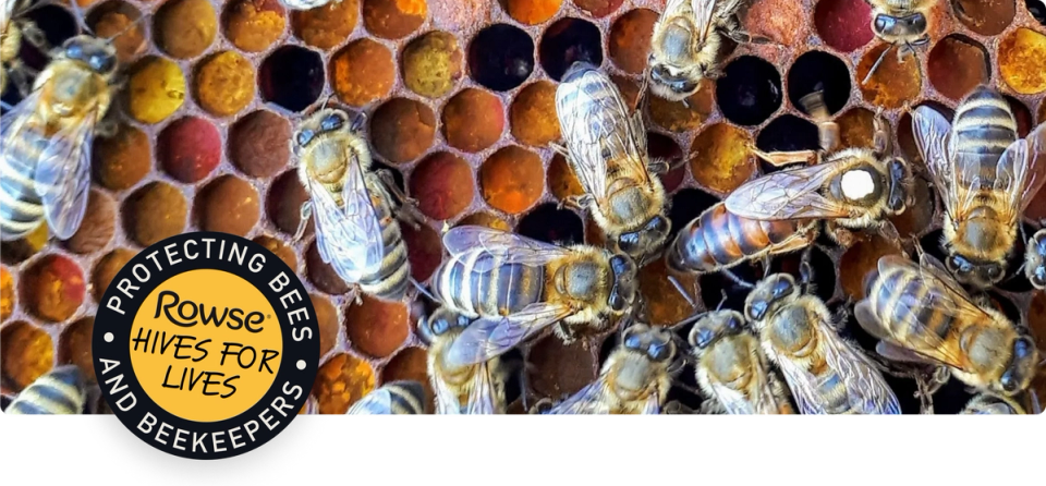 a group of bees on a honeycomb with the Rowse Hives for Lives:  protecting bees and beekeepers sticker