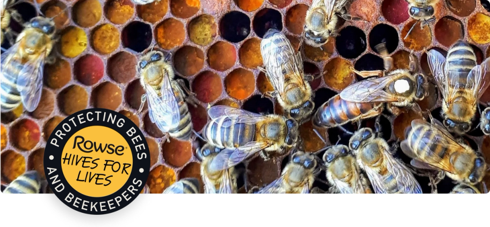 a group of bees on a honeycomb with the Rowse Hives for Lives: protecting bees and beekeepers sticker