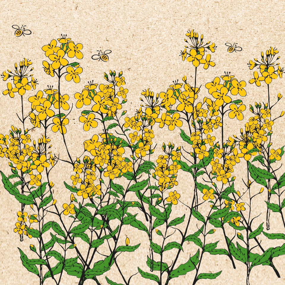 a drawing of yellow flowers with green leaves and bees