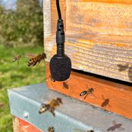 a group of bees are flying around a microphone attached to a beehive .